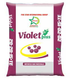 20-20-15+TE Violet Plus